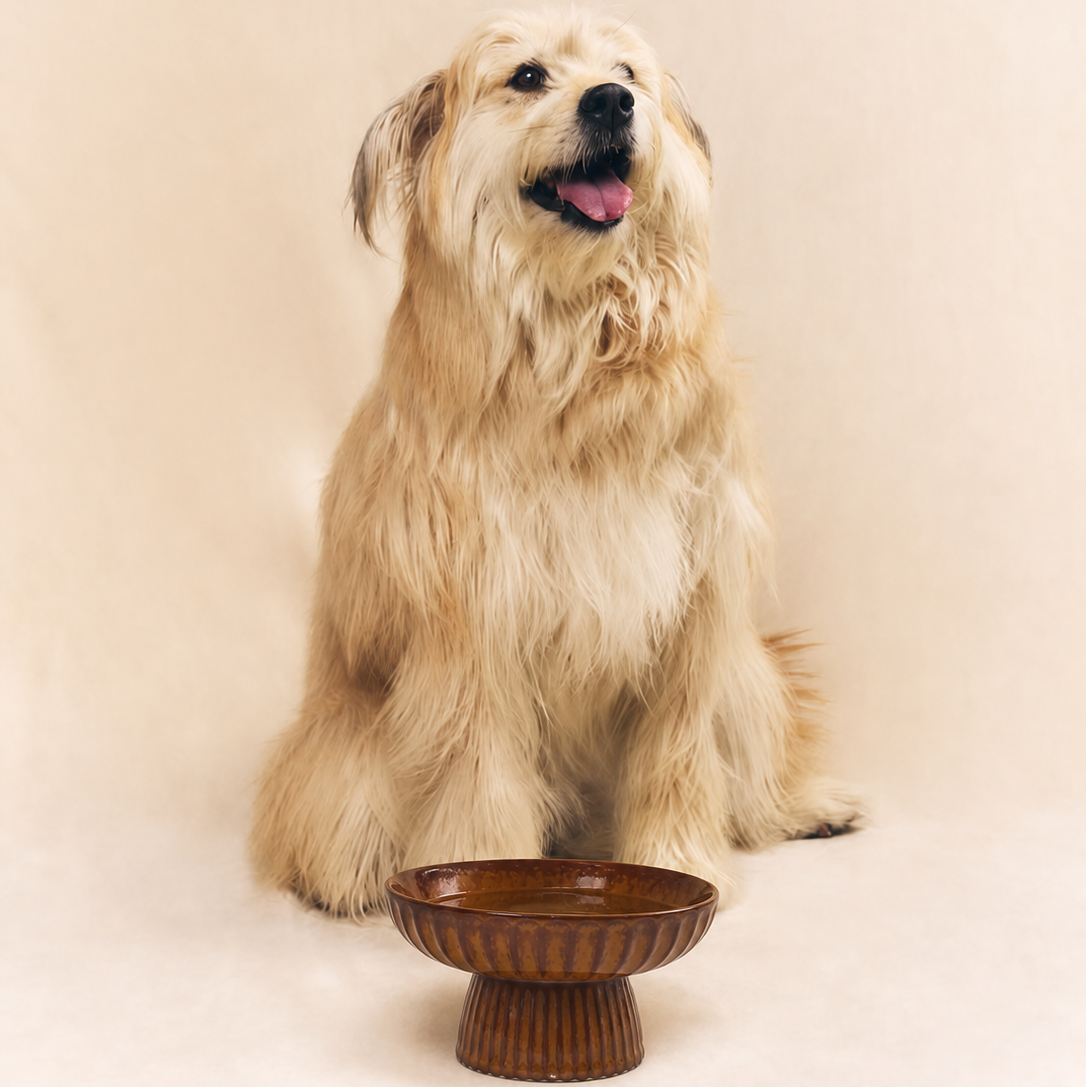 Luxury blue and white porcelain dog bowl handcrafted