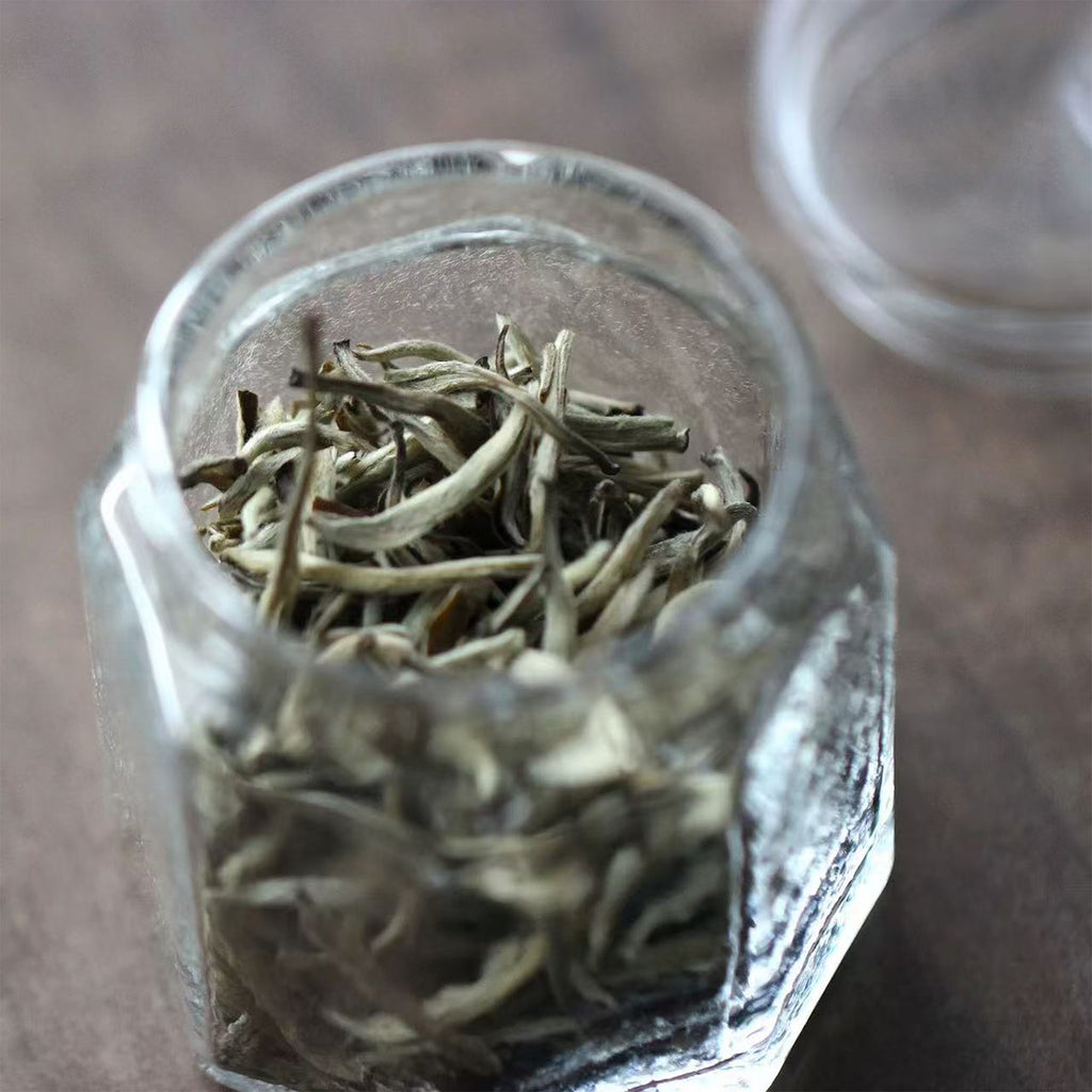 OctaMini Glass Tea Jar