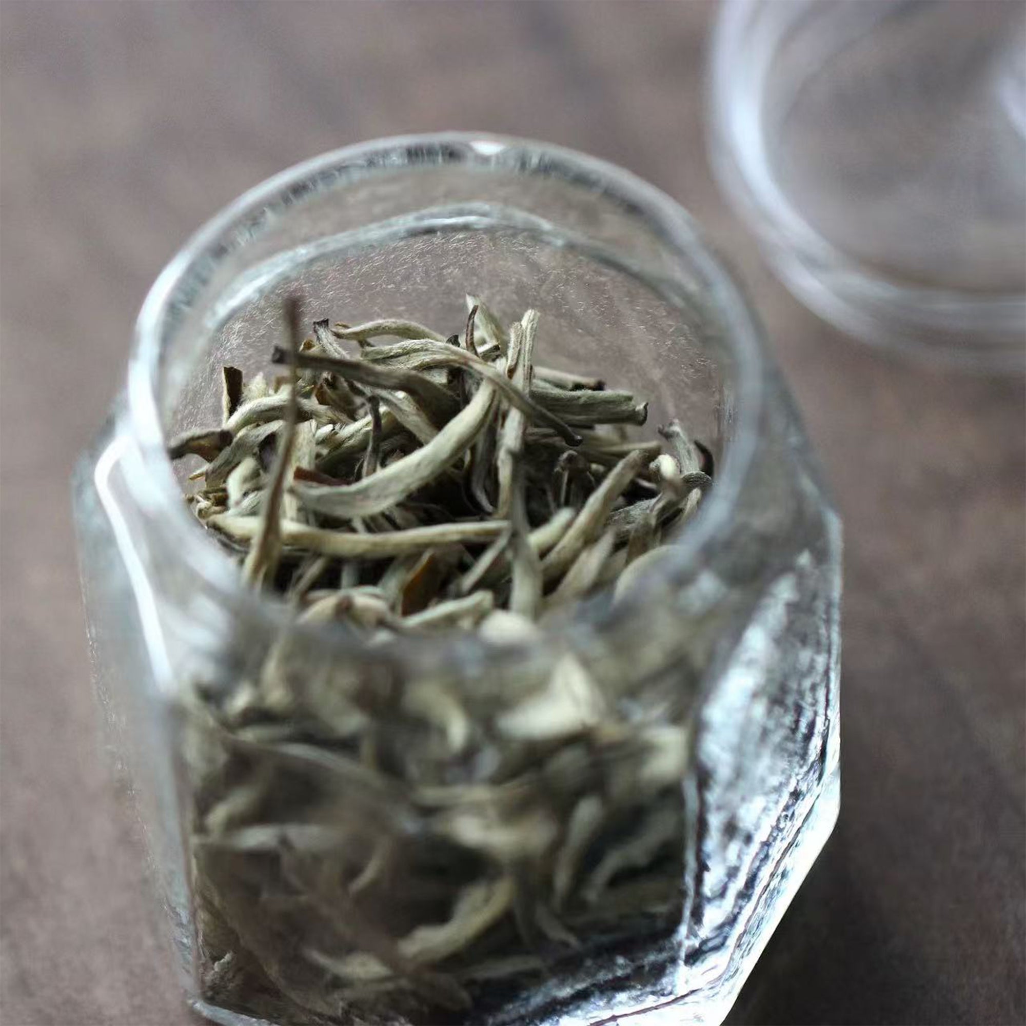 OctaMini Glass Tea Jar