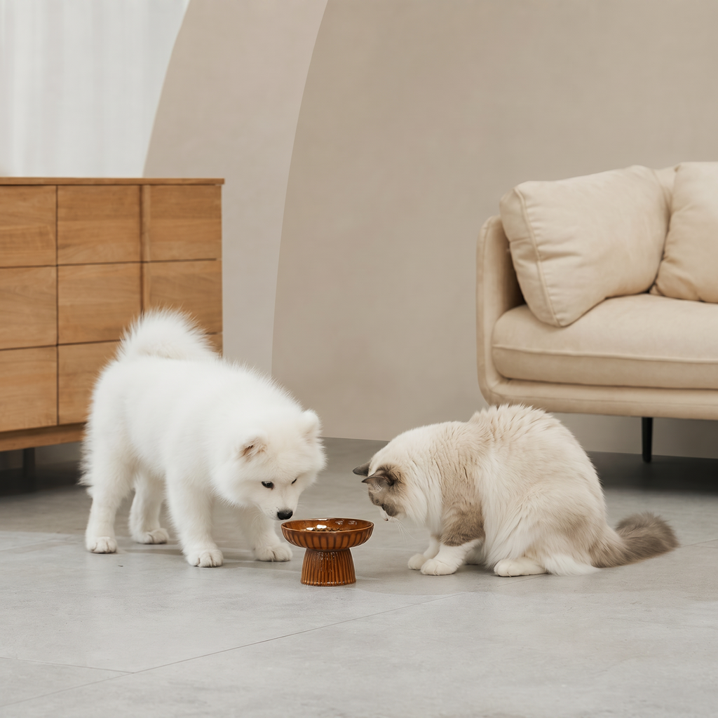Ridgeline Raised Pet Bowl