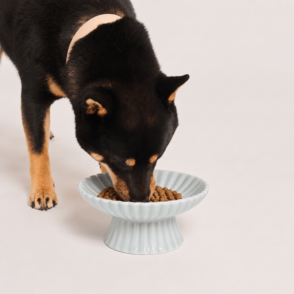 Lunelle Petal Raised Pet Bowl