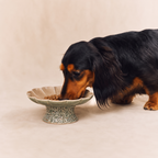 Cirravelle Cloud Pedestal Pet Bowl