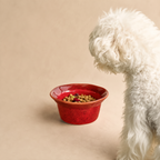 Terra Ceramic Pet Bowl