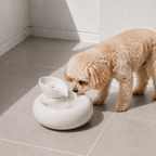 Pawsera Ripple Ceramic Pet Water