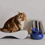 Pawsera Ripple Ceramic Pet Water