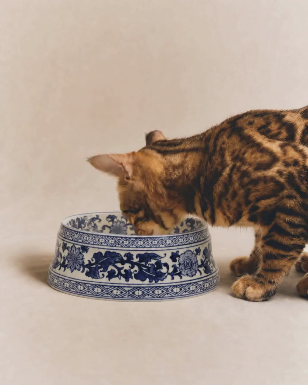Glazy Blue and White Hand Painted Porcelain Cat/Dog Pet Bowl